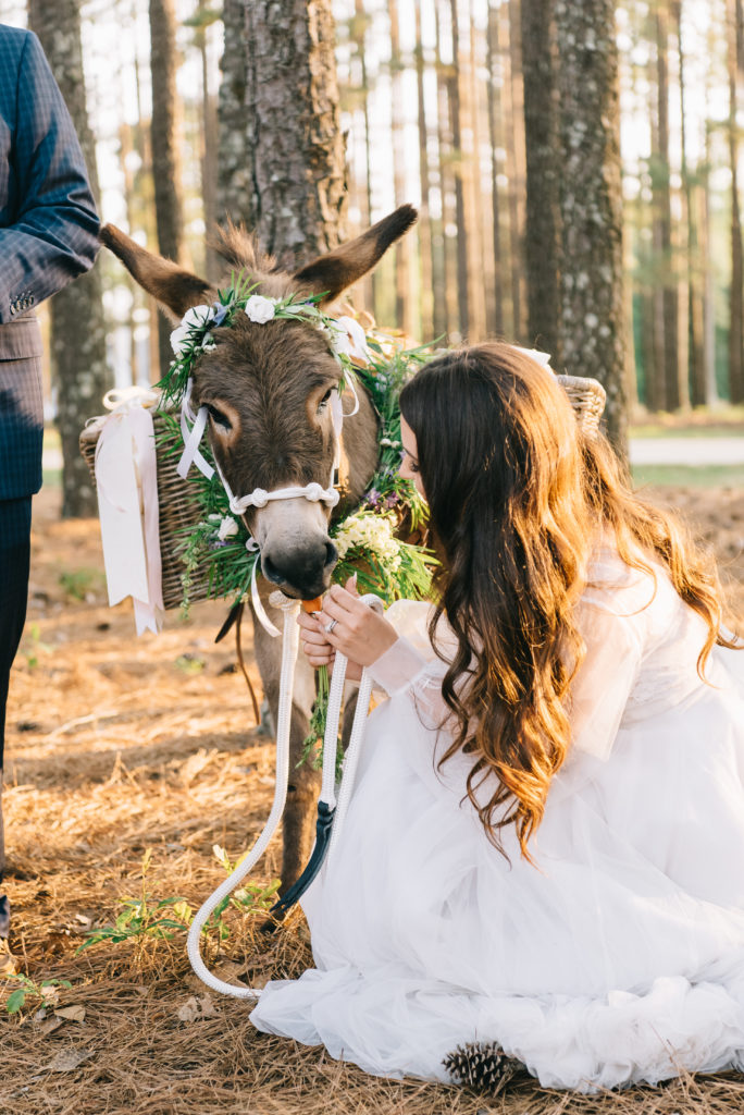 bride with donkey Aiken sc wedding new bridge polo